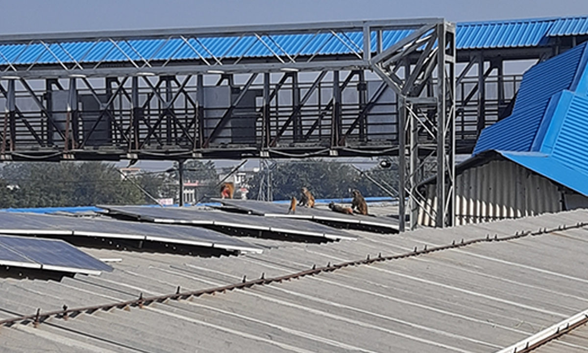 Solar Plant Installation in Dausa